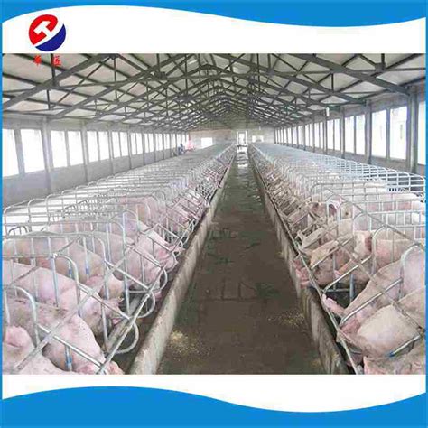 Quality Assurance Pig Fattening/Pig Pen Design/Pig Pen PVC Panel - Made in China and Pig Pen