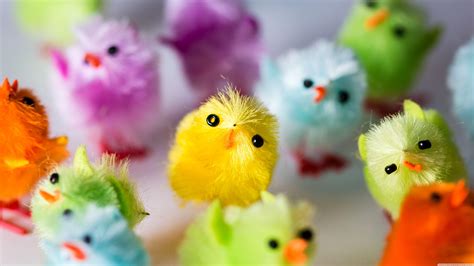 Chicks Easter Wallpapers - Wallpaper Cave