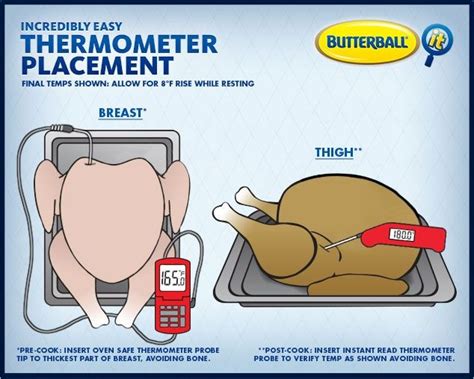 Check a Turkey's Temperature with a Meat Thermometer | Turkey recipes ...