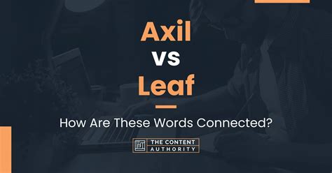 Axil vs Leaf: How Are These Words Connected?