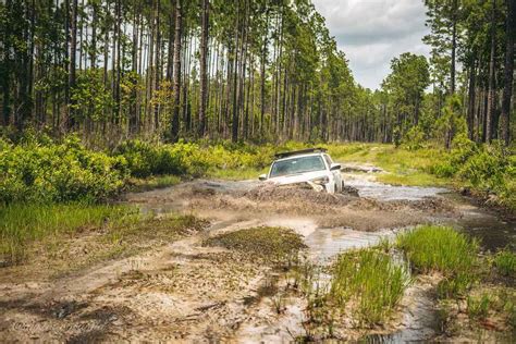 Osceola National Forest FR 212 "The Water Park", Florida : Off-Road ...