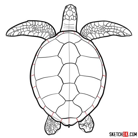 How to draw a Sea Turtle (view from the top) - Sketchok easy drawing guides