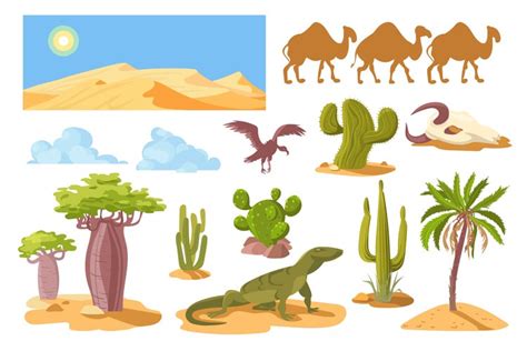 Cartoon desert cactus and rocks. Plants and animals. Arid ho