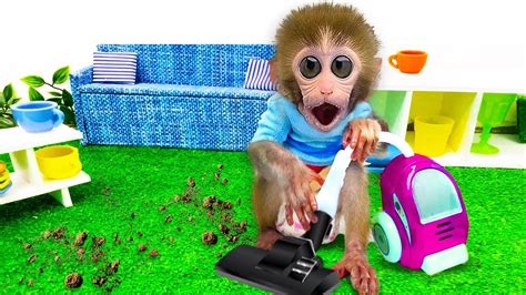 Baby Monkey JJ cleans the Room and Cooks Food | Funny Animal Videos ...