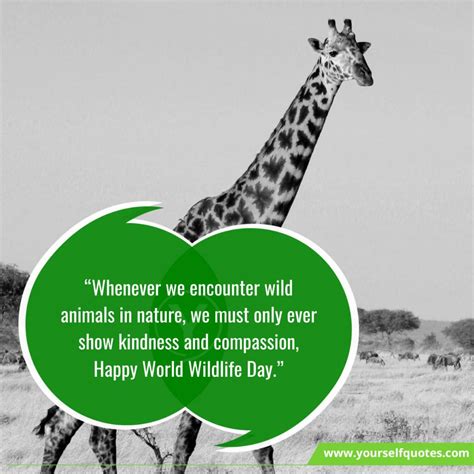 World Wildlife Day Quotes Wishes That Will Help Sustain All Life On Earth