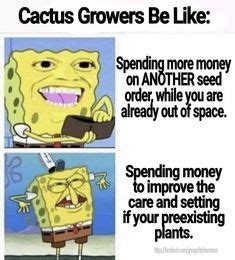 120 Best Succulent & Plant Memes ideas | memes, plants, succulents