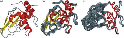 Structure representation of the different states for lysozyme. (a)... | Download Scientific Diagram