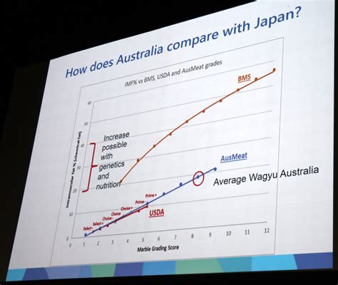 Wagyu Feed Calculator launched to boost marbling - Beef Central