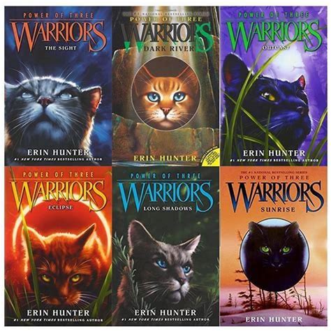 How many Warriors cats are there? - DIY Seattle