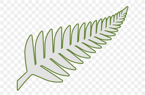 New Zealand Leaf Silver Fern Plant, PNG, 1101x725px, New Zealand, Botany, Drawing, Fern, Frond ...