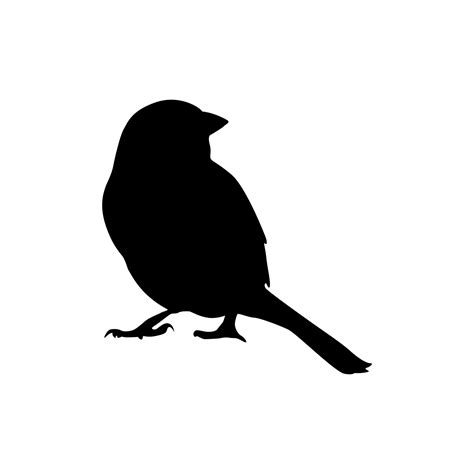 Bird silhouette vector design 16337869 Vector Art at Vecteezy