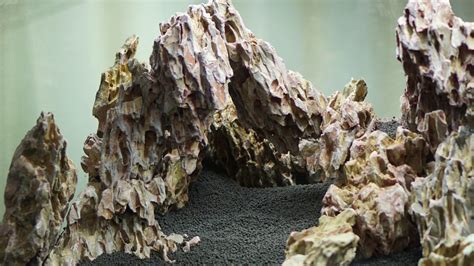 Seiryu Stone for Aquascaping & Decoration • Practical Guide