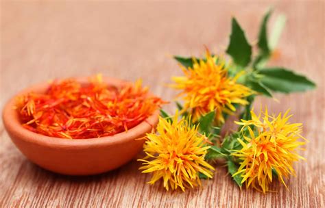 Safflower: Benefits, Uses, Side Effects, and More