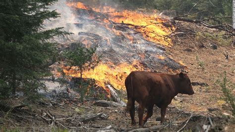 Spreading California wildfire feeds on dry vegetation - CNN