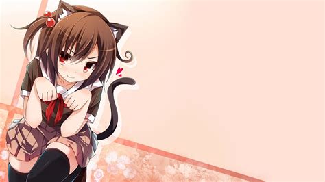 Anime Cat Girl HD Wallpapers - Wallpaper Cave