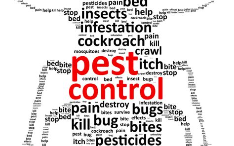 Pest Control Tips and Strategies That Will Help You Get Rid of Them Quickly and Easily!