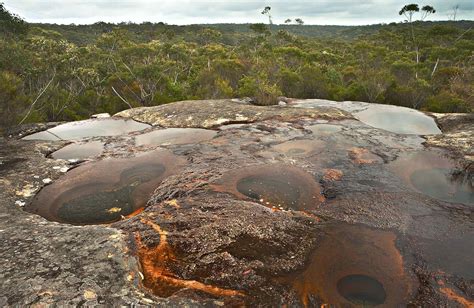 Dharawal National Park | NSW National Parks