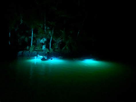 Weeki Wachee Nightime Kayak Ecotour | Get Up and Go Kayaking