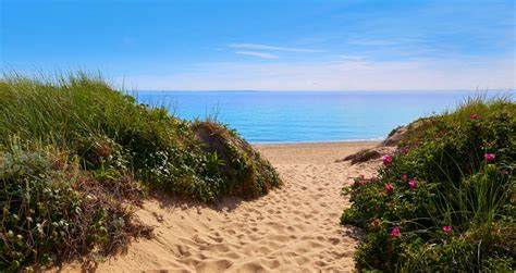 5 Best Provincetown Beaches