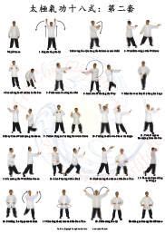 Tai Chi Qigong Shibashi Home Study Course – Set 2 | Tai Chi, Qigong ...