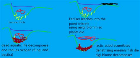 fertiles leaching Diagram | Quizlet