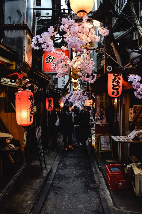 Guide to Tokyo Nightlife: Best Places to Visit — Come On Out - Japan