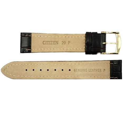 Citizen 20mm Brown Genuine Leather Strap – Total Watch Repair