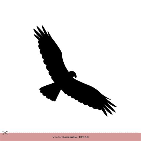 Eagle - Bird Silhouette Vector Logo Template Illustration Design ...