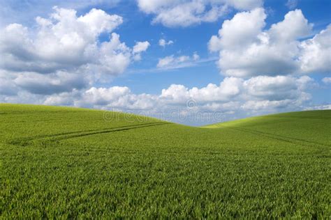 Rolling hill landscape stock photo. Image of field, lawn - 14221540