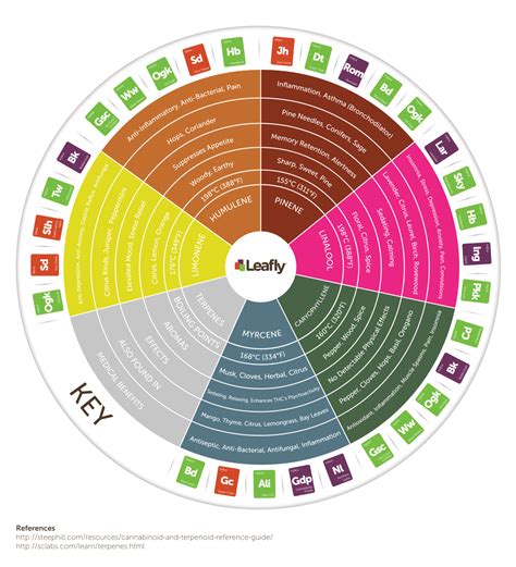 Terpenes: What they are & Why They're Important | SōRSE Technology