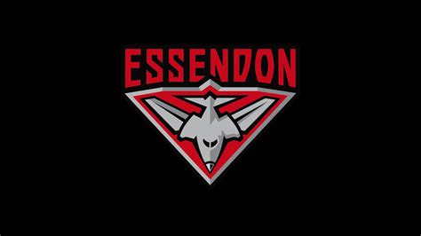 Executive team appointments - essendonfc.com.au