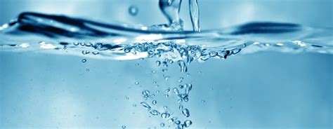 Water Treatment Biocides Market Industry Growth & Size