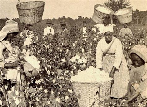 7 Things About the Field Workers During Slavery That You May Not Know