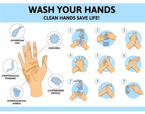 7 Steps of Hand Washing: Your Key to Cleanliness