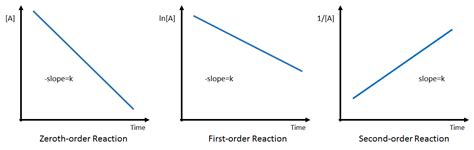 First Order Reaction Graph - IsaiabbKaufman