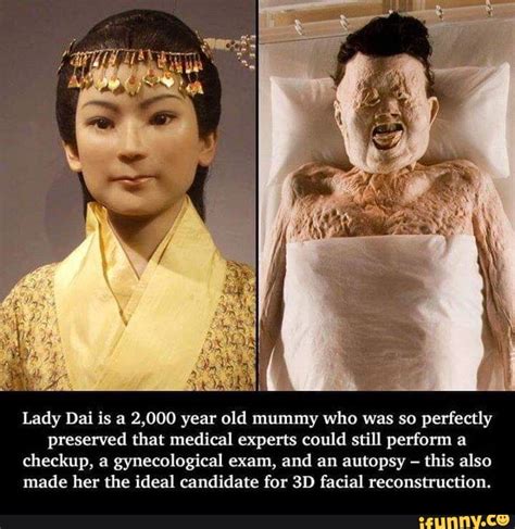 Lady Dai is a 2,000 year old mummy who was so perfectly preserved that medical experts could ...