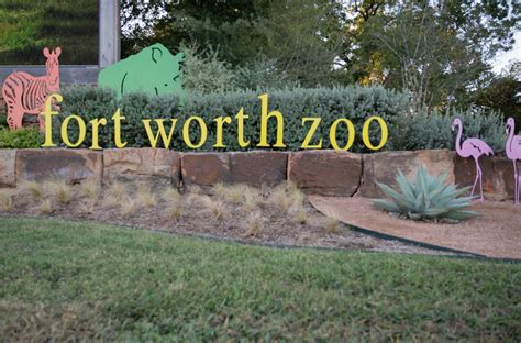 Fort Worth Zoo to celebrate 30th Anniversary Festival | TCU 360