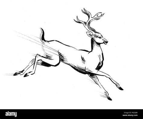 Running deer animal. Ink black and white drawing Stock Photo - Alamy