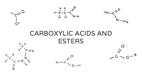 Carboxylic Acids and Esters - Revise.im