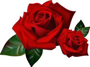 - Blog de OA-ga-KlA-A-ikovA - Skyrock.com in 2020 | Beautiful roses, Rose, Beautiful flowers