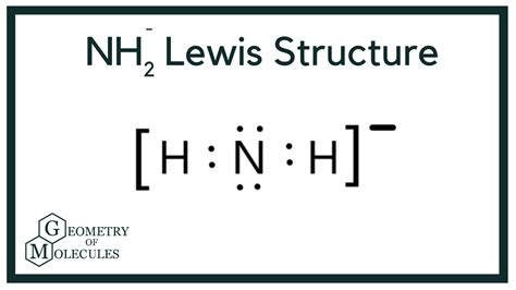 NH2- Lewis Structure (Amide Ion) | How to find out, Molecules, Lewis