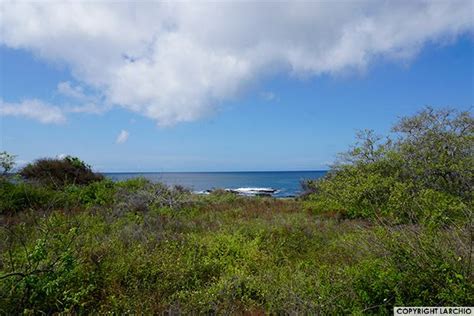 Galapagos Cruise Luxury 2023 - GalapagosInformation.com Blog