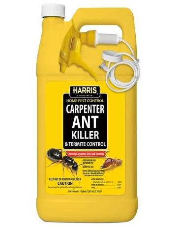 10 Best Termite Killer Spray 2023 - The Ultimate Guide