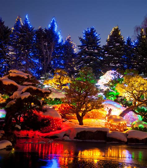 Blossoms of Light Returns This Winter - Colorado Homes & Lifestyles