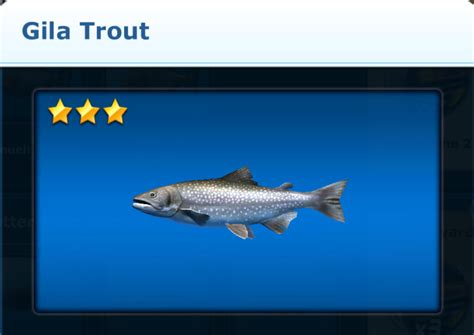 Gila Trout | Ace Fishing Wiki | Fandom