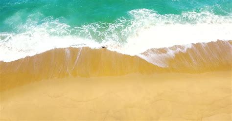 Aerial view of sea and sand beach . Beautiful top view of sand beach ...