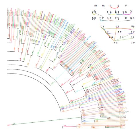 Family Tree for Austronesian Languages (from PNAS) | Language, Language families, Linguistics