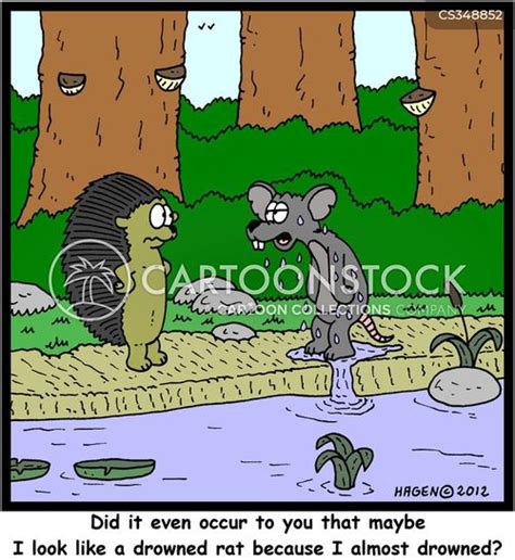 Drowned Rats Cartoons and Comics - funny pictures from CartoonStock