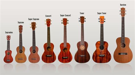 Uke tipos. Love Sopranino! #ukelele #ukulele | Ukulélé, Chansons ...