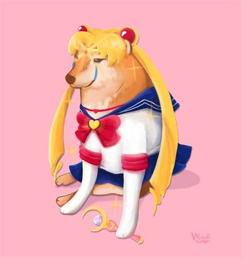 Cheems Sailor moon Usagi Doge in 2021 | Sailor moon wallpaper, Sailor moon usagi, Sailor moon